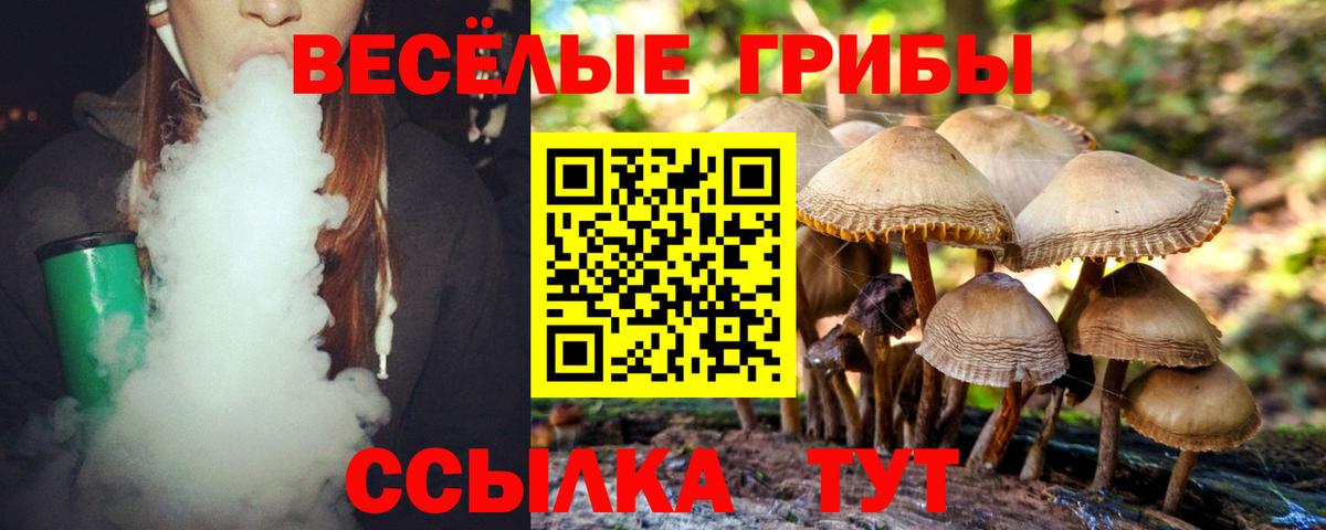 Галлюциногенные грибы мухоморы  Псилоцибиновые грибы мицелий  Вход с VPN  Россия 